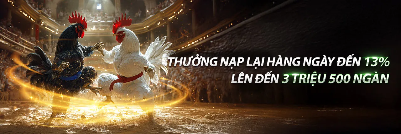 Đá Gà Thomo Trận 50 Kịch Tính